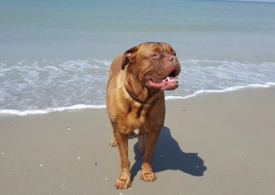 Hety à la plage